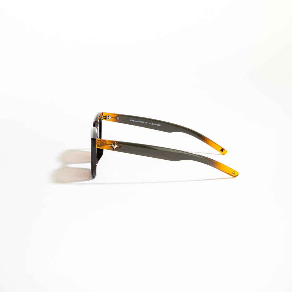 Glider Elite 003