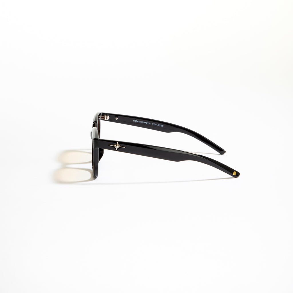 Glider Elite 002